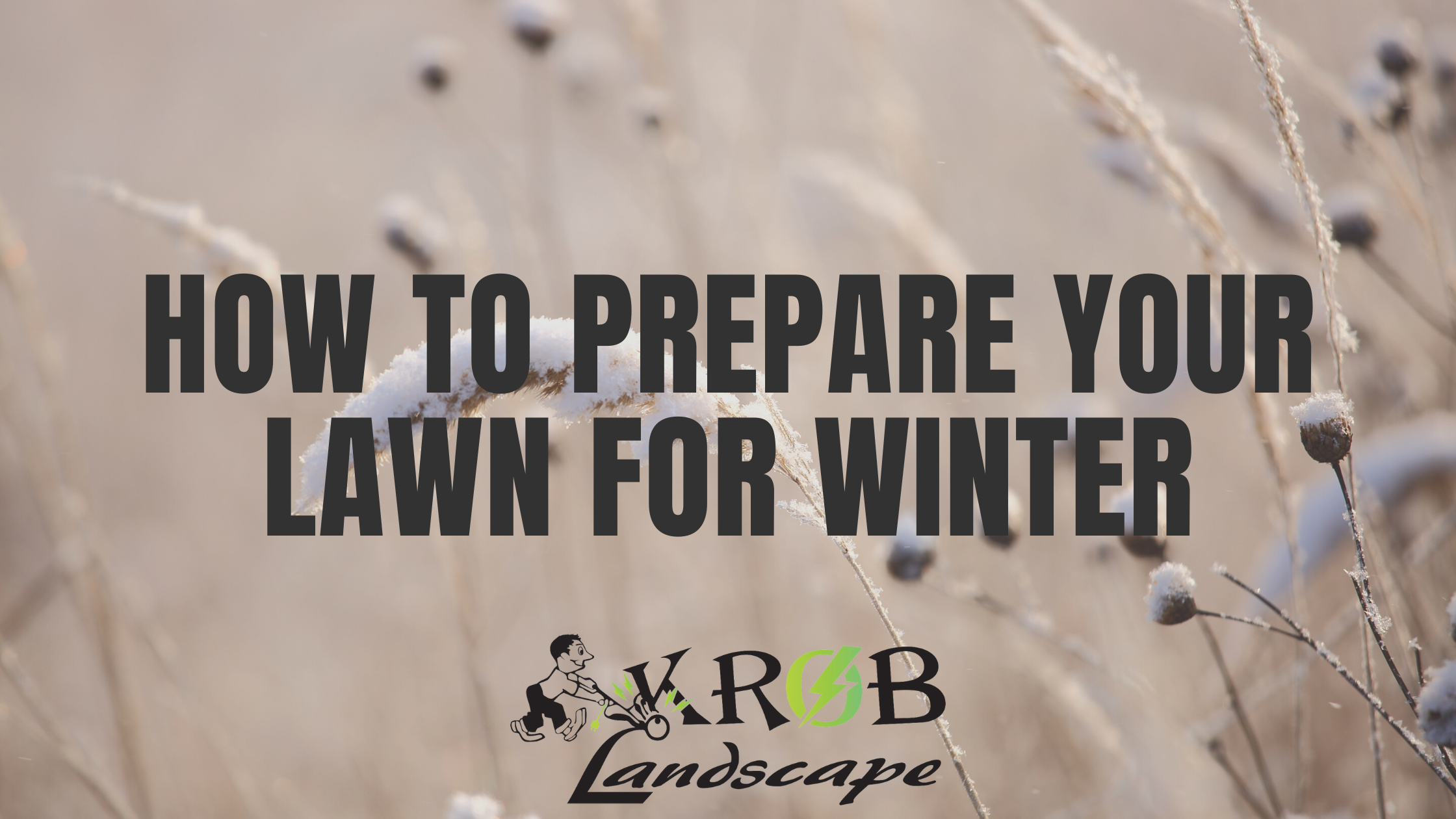 How to Prepare Your Lawn for Winter1.png